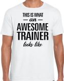 Bellatio Decorations Shoppartners Bv This is what an awesome trainer looks like T-shirt Wit Heren M