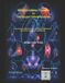 Biomagnetismo Independently Published Biomagnetismo Cuántico Vs Patologías Ostearticulares