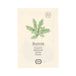 Graines de roquette bio, 2g