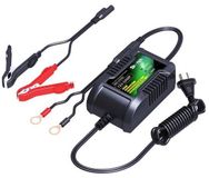 skyrich 12v 2ah hbc-lf0202 intelligente lithium acculader voor motoren