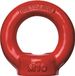 Deltalock Oogmoer M22 - grade 80 volgens EN 1677