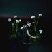 A One Little Independent Penelope Trappes - A Requiem (LP) (Coloured Vinyl)