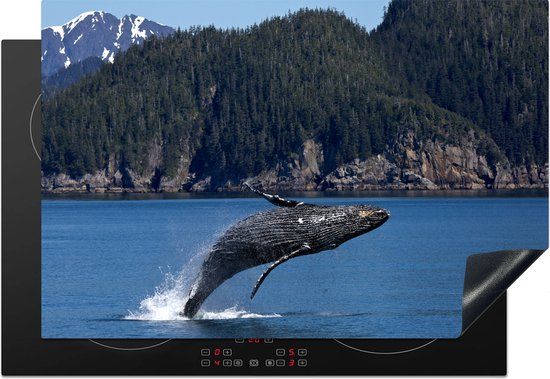 KitchenYeah® Inductie beschermer 77x51 cm - Zeedieren - Inductiebeschermer