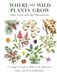 East Texas and the Pineywoods: A Forager’s Guide to Wild Food, Medicinal Herbs, and Natural Remedies