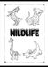 Wildlife Wildlife Coloring Book