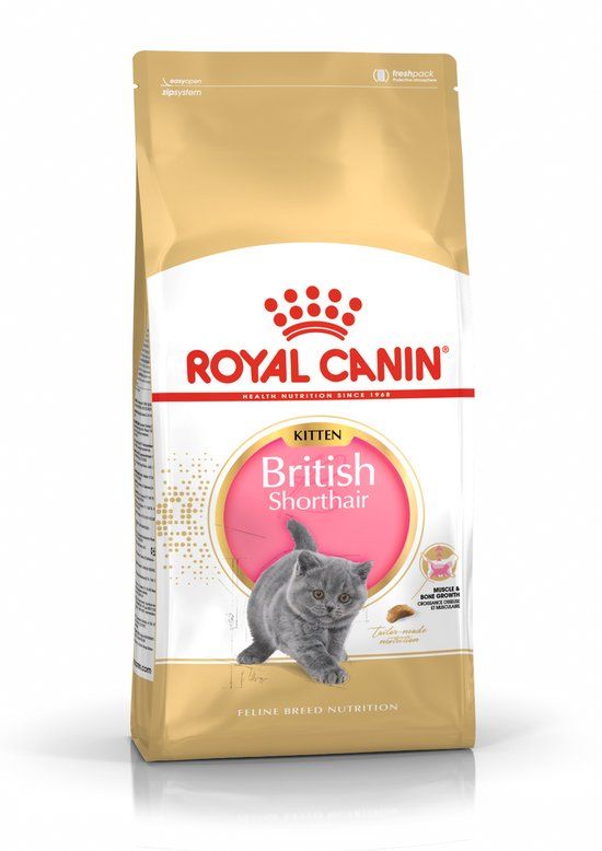Royal Canin Breed British Shorthair Kitten 2kg