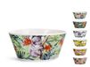 H&H Exotische set van 6 Bolo, ontbijtmokken uit New Bone China, verschillende decoraties, dieren en natuur, kleurrijk, 14 cm, meerkleurig