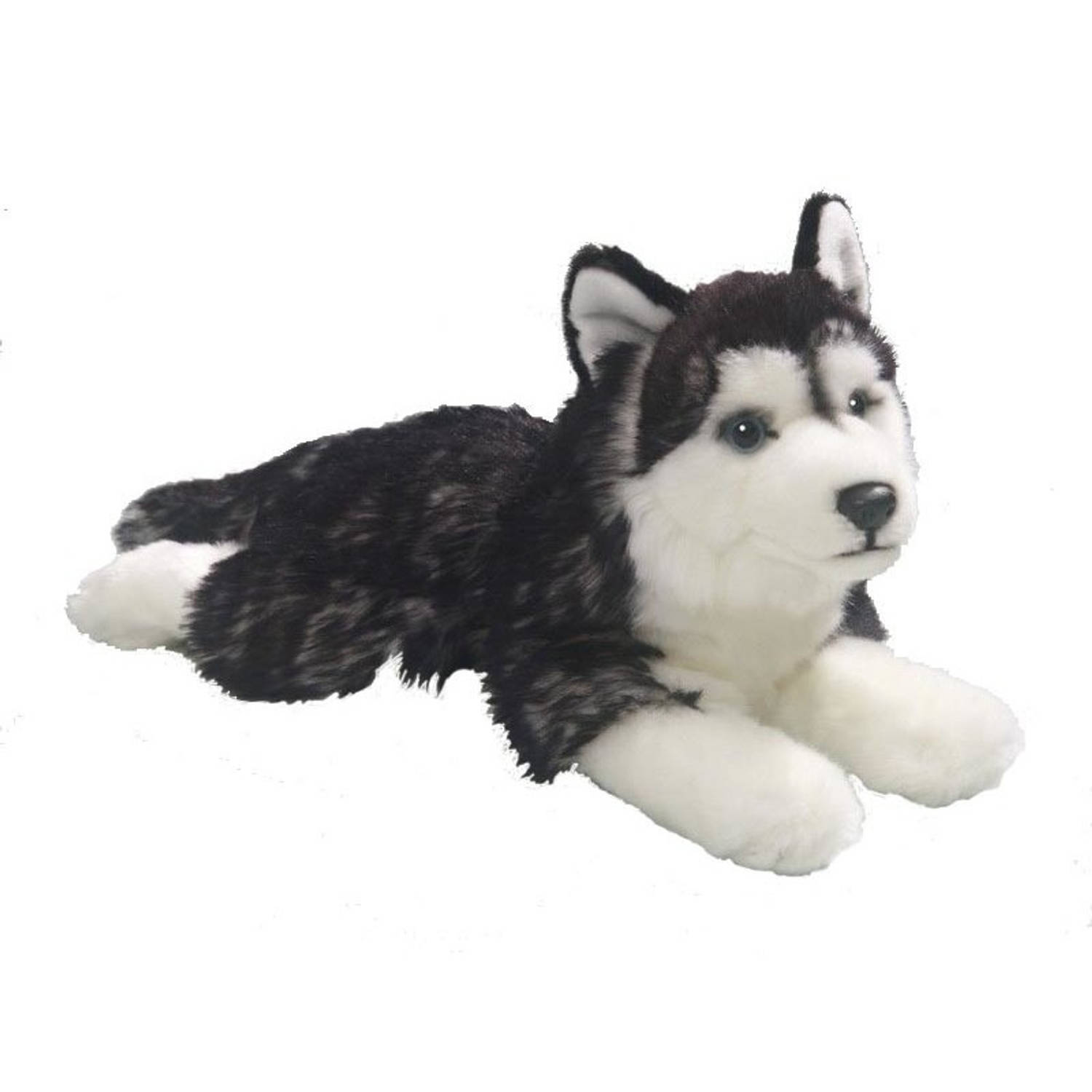 - Pluche liggende Husky honden knuffel 32 cm