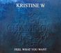 Feel Jive Feel What You Want CD (Single) Special Edition