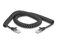 Delock câble RJ45 torsadé mâle vers mâle Cat.5e 2 m noir