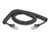 Delock câble RJ45 torsadé mâle vers mâle Cat.5e 2 m noir