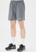 Virtus Virtus Shorts Spier Grijs Heren XL