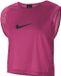 Nike Team Hesje Training Dri-FIT Park 20 BIB Roze - Maat S