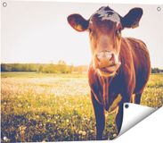 Gards Poster de vache dans le pré au coucher du soleil - 80x60 cm - Toile de jardin
