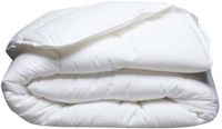 BLANREVE Lichtgewicht anti-huisstofmijt dekbed - 200 gr/m² - 260 x 240 cm - Wit
