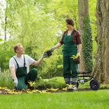 Relaxdays Tuinkruk op wielen