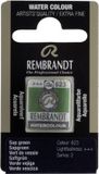 Rembrandt Aquarelverf - napje - Sapgroen 623