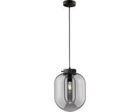 Fischer & Honsel Regi Hanglamp Zwart Mat Metaal Rookglas E27
