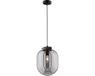 Fischer & Honsel Regi Hanglamp Zwart Mat Metaal Rookglas E27