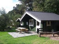 Intergard Trekkershut vakantiehuis Harvard 4.97x4.57m (50mm) Groen
