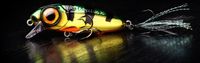 Spro Iris Underdog Herring 7cm Herring