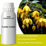 Oude Wijsheid Ylang Ylang Etherische Olie 0.5Kg