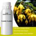 Oude Wijsheid Ylang Ylang Etherische Olie 0.5Kg