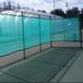 Carrington Windscherm 6 x 2 m