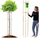 KADAX support d'arbre 195 cm en bois solide