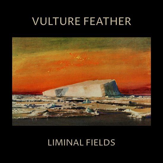 Liminal Vulture Feather - Liminal Fields (LP) (Coloured Vinyl) (Limited Edition)