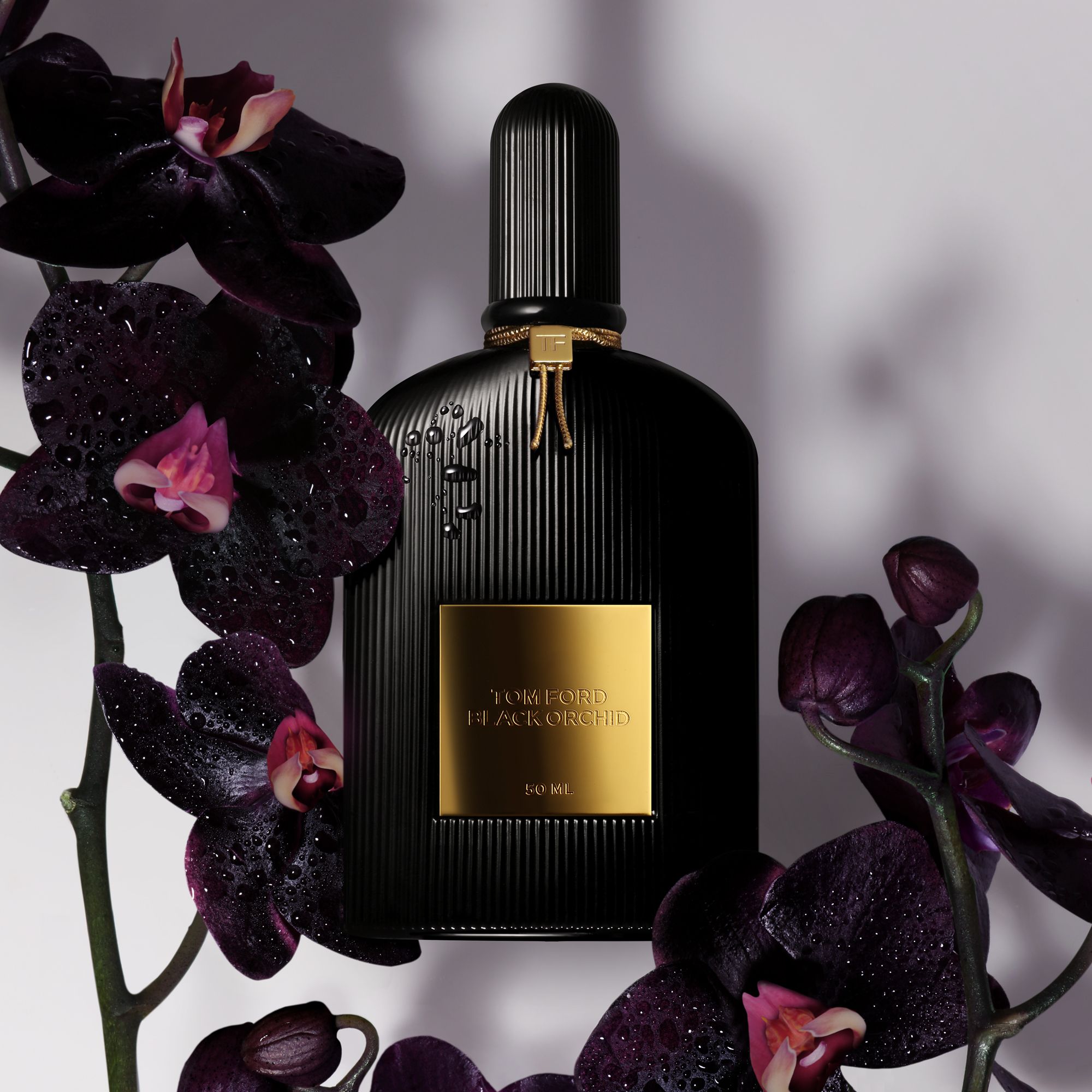 Tom Ford Black Orchid / 100 / Women kopen? | Kieskeurig.nl | Eaux