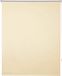 Bolt Edge Rolgordijn - Beige - Verduisterend - 100x160cm