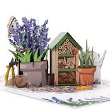 Cardology Pop-upkaart lavendel, verjaardagskaart voor haar, moederdagkaart, vaderdagkaart, paaskaart, bedankkaart, 15 x 20 cm