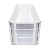 Levitantes Verlichting, Afbeelding