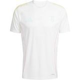 Juventus Maillot d'entraînement 2025/26