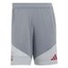 adidas Liverpool Short d'Entraînement Tiro 26 EU - Gris/Rouge - Large