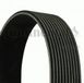 CONTITECH 10PK2700 V-geribbelde riem.