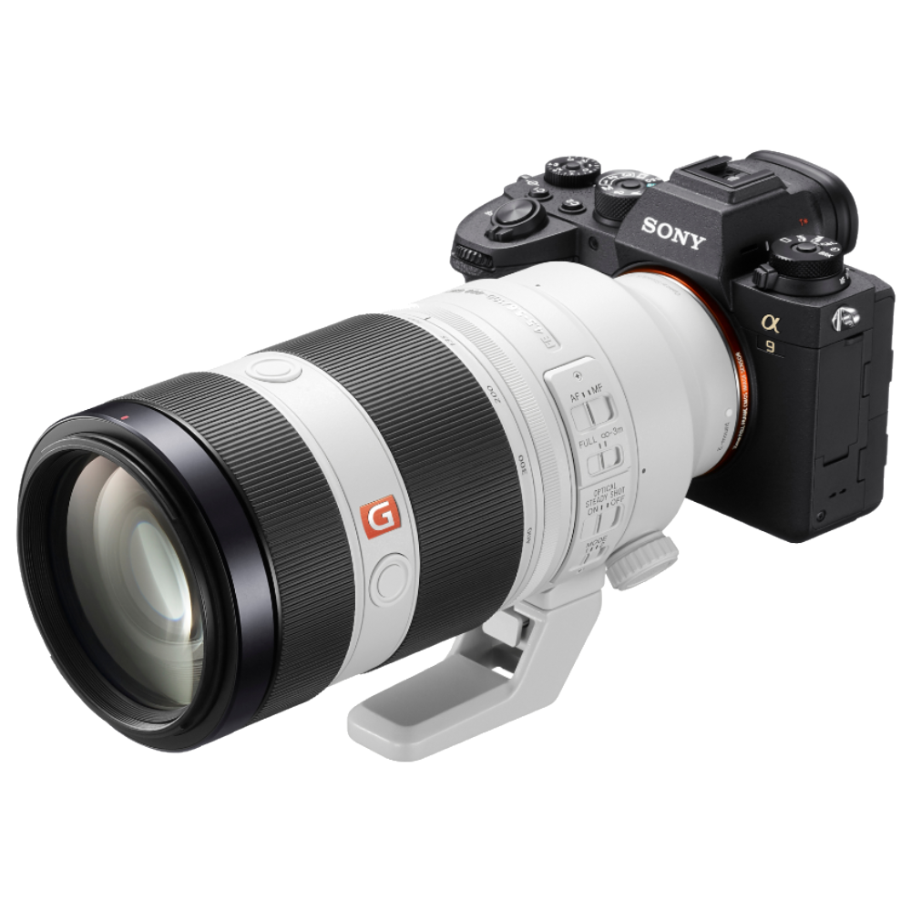 Sony A9 II + 100-400mm GM OSS