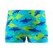 Aqua shark maillot de bain pour garçons (bleu/vert)