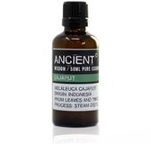 Ancient Wisdom Cajaput 50ml etherische olie
