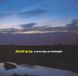 Bertus Distributie David Gray - A New Day At Midnight