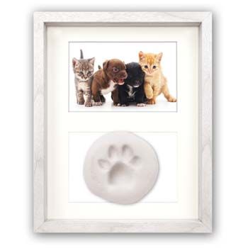Zep Gand - Fotolijst - Wit - MDF, Hout - 27,20 cm x 22,20 cm - Rechthoek
