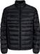 JACK & JONES JJEKINGSLEY LIGHT PUFFER COLLAR NOOS Heren Jas