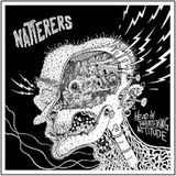 Head Natterers Head in Threatening Attitude