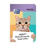 Oxford Funny Pets 2019-2020 Daily School Diary 1 Day 352 Pages 12 x 18 White Cat Design
