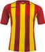 Acerbis Sports JOHAN STRIPED S/SL JERSEY (Sportshirt) Rood/Geel S