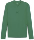 Puma Teamgoal Baselayer Tee Longsleeve Heren M Sport Green-Power Green