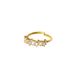 PURELEI Ring Powder