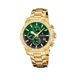 Festina F20705/6 Heren Horloge - Chronograaf - Mineraalglas - Roestvrijstaal/Leer - Quartz - Goudkleurig/Groen