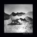 Suburban Houndstooth Penelope Redeux